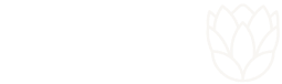 Logo da Protea Flowers